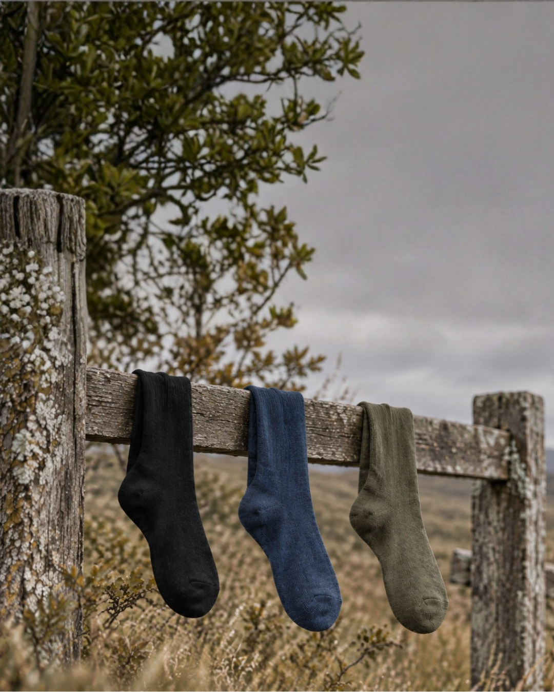 Three knitted socks in black, blue, and green hang over a weathered wooden fence. The rustic scene is set against a backdrop of a leafy tree and an overcast, gray sky.