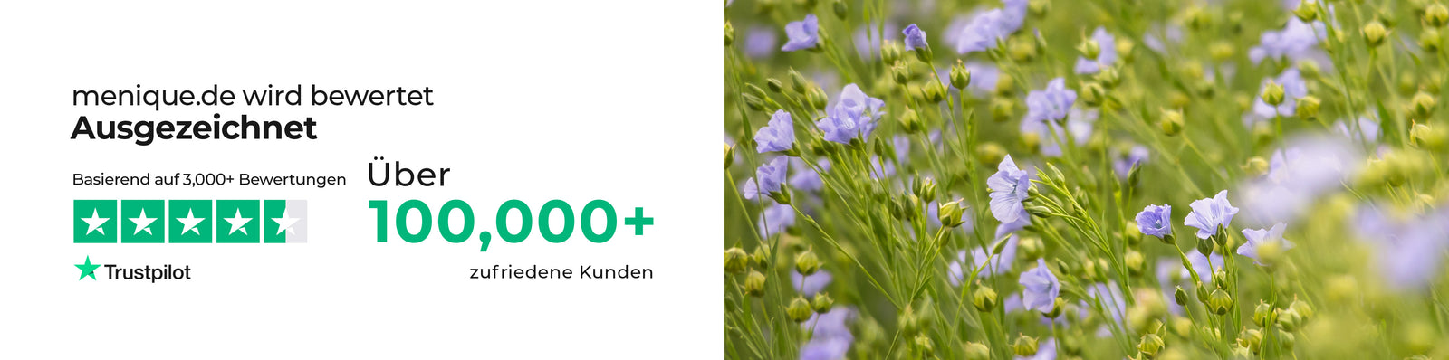 A wide banner featuring customer trust information for menique.com, showing a Trustpilot rating marked as “Excellent” with five green stars based on over 3,000 reviews, alongside text stating “Over 100,000+ happy customers.” The right side of the image displays a close-up of blooming flax flowers with delicate light blue petals and green stems, symbolizing natural materials and sustainability.