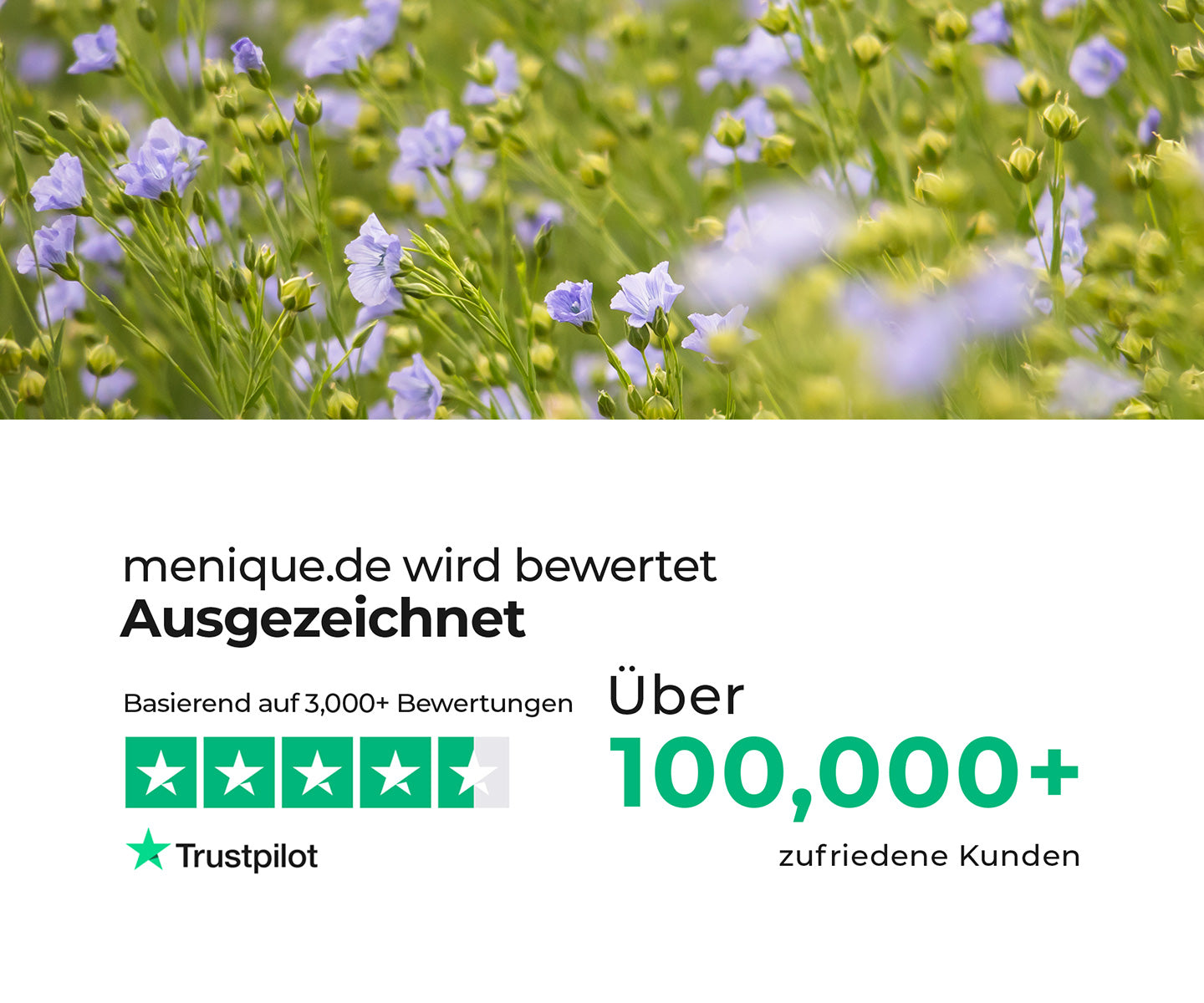 A wide banner featuring customer trust information for menique.com, showing a Trustpilot rating marked as “Excellent” with five green stars based on over 3,000 reviews, alongside text stating “Over 100,000+ happy customers.” The right side of the image displays a close-up of blooming flax flowers with delicate light blue petals and green stems, symbolizing natural materials and sustainability.